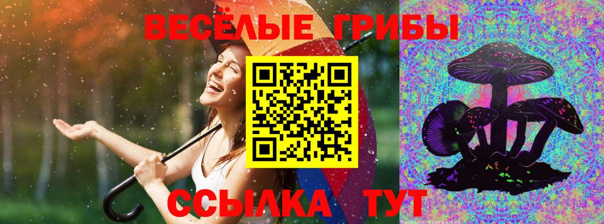 Псилоцибиновые грибы GOLDEN TEACHER Сибай