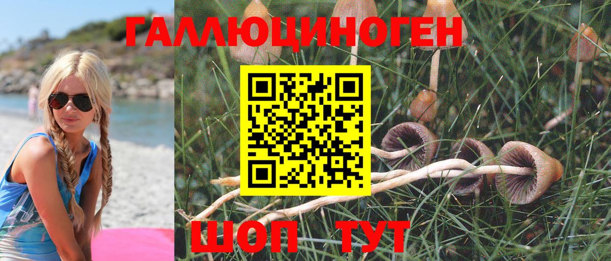 Сибай  наркотики  Вход с VPN  Галлюциногенные грибы Cubensis 